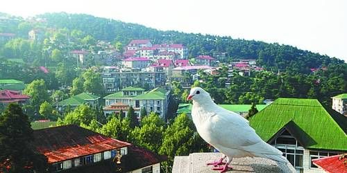  有著“云中山城”之稱的牯嶺鎮(zhèn)面臨著遷民下山。